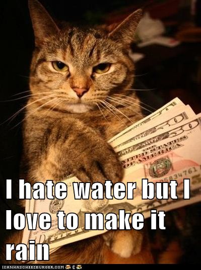 Make it rain cat